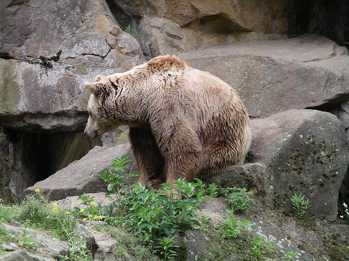 Berlijn 2009 ZOO162.jpg